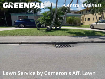 Grass Cut nearby Hollywood, FL, 