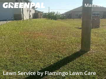 Lawn Services in Cape Coral, 33993, Lawn Work by Flamingo Lawn Care, work completed in Oct , 2025