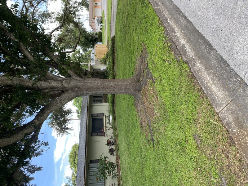 Work Image 5