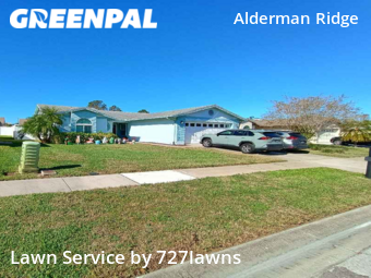 Lawn Service nearby Palm Harbor, FL, 