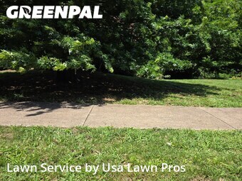 Lawn Mowin Hendersonville,37075,Lawn Care by Usa Lawn Pros, work completed in Jun , 2026