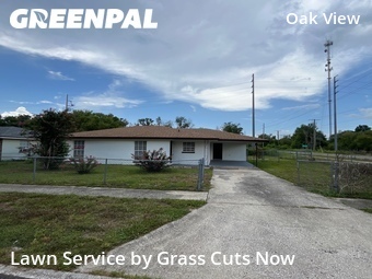 Grass Cut nearby Dade City, FL, 