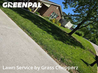 Lawn Cut nearby St. Peters, MO, 