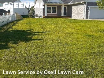 Yard Mowing nearby Blaine, MN, 