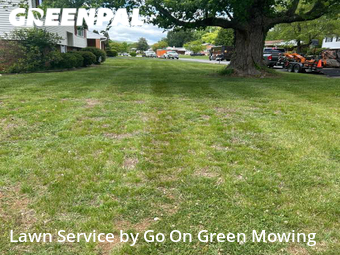 Lawn Maintenance nearby Hollins, VA, 