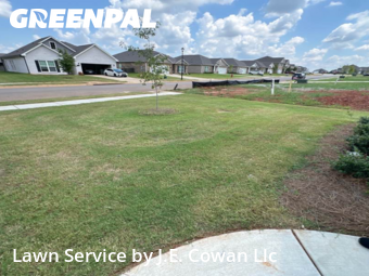Yard Mowing nearby Harvest, AL, 