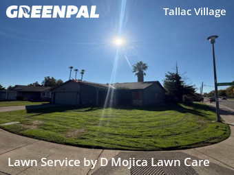 Landscaping Maintenance In Sacramento,95820,Landscape Design by D Mojica Lawn Care, work completed in Oct , 2025