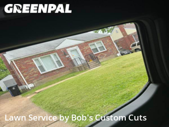 Grass Cut nearby University City, MO, 