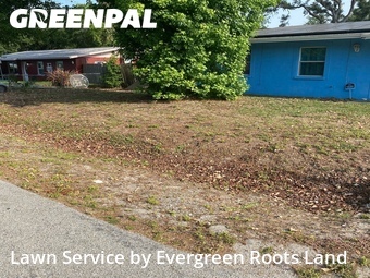Lawn Cut nearby Bradenton, FL, 