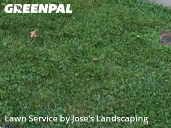 Yard Cutting nearby Woodbridge, VA, 