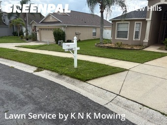 Lawn Cut nearby Zephyrhills, FL, 