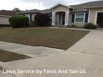 Grass Cutting nearby Gainesville, FL, 