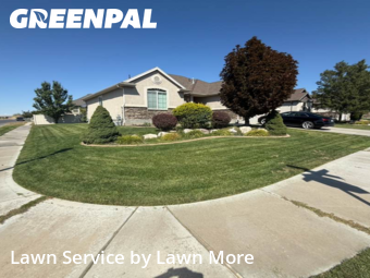 Yard Care Services in Clearfield, 84015, Turf Services by Lawn More, work completed in Nov , 2025