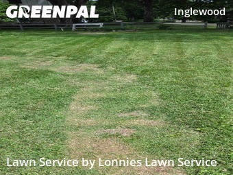 Lawn Cutin Nashville,37216,Yard Cutting by Lonnies Lawn Service, work completed in Jun , 2026