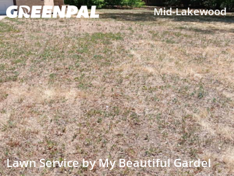 Lawn Mowing nearby Lakewood, CO, 