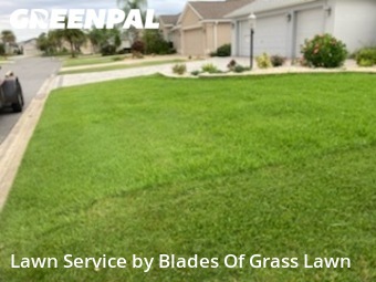 Lawn Cut nearby Wildwood, FL, 