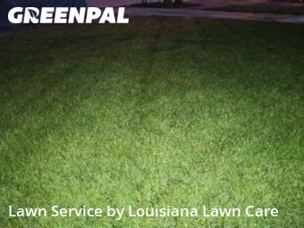 Lawn Maintenance nearby Saint Rose, LA, 