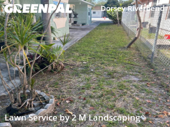 Grass Cut nearby Fort Lauderdale, FL, 
