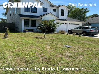 Lawn Carein Jacksonville Beach,32250,Yard Cutting by Koala T Lawncare, work completed in Dec , 2025