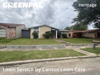 Grass Cut nearby San Antonio, TX, 