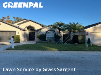 Grass Cuttingin Clearwater,33764,Lawn Cutting by Grass Sargent, work completed in Jan , 2026