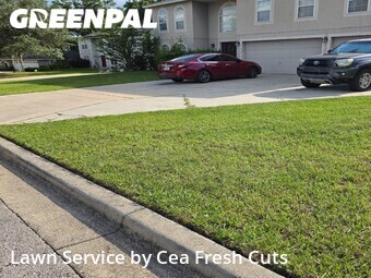 Yard Mowing nearby Ocala, FL, 