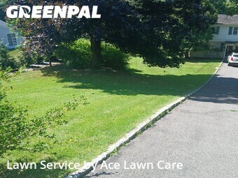 Grass Cut nearby Shelton, CT, 