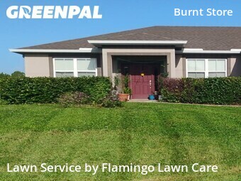 Lawn Mow nearby Cape Coral, FL, 
