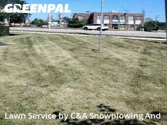 Yard Cutting nearby Des Plaines, IL, 
