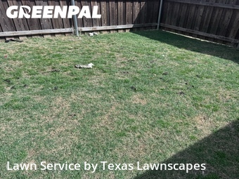 Grass Cut nearby Allen, TX, 