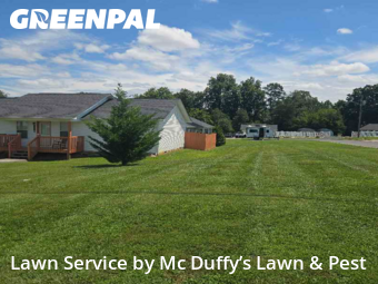 Lawn Service nearby Baneberry, TN, 