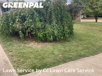 Lawn Mowing nearby Overland, MO, 