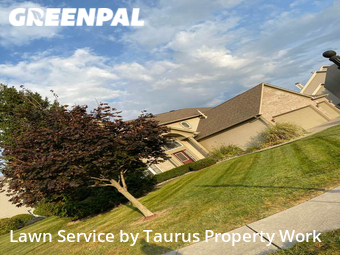 Lawn Mow nearby Greenwood, IN, 