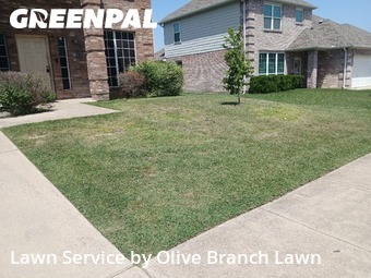 Grass Cutting nearby Haslet, TX, 