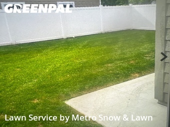 Grass Cut nearby St. Clair Shores, MI, 