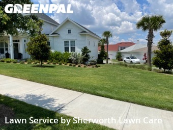 Lawn Mow nearby Winter Garden, FL, 