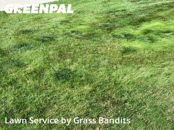 Yard Mowing nearby Billings, MT, 