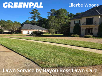 Landscaper In Shreveport,71106,Landscaping Cleanup by Bayou Boss Lawn Care, work completed in Oct , 2025