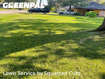 Lawn Maintenance nearby Lafayette, LA, 