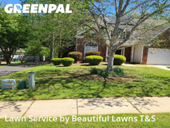 Yard Mowing nearby Locust Grove, GA, 