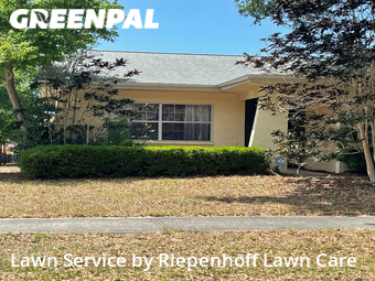 Lawn Care Service nearby Palm Harbor, FL, 