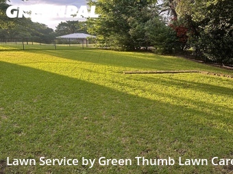 Grass Cut nearby Mc Kinney, TX, 