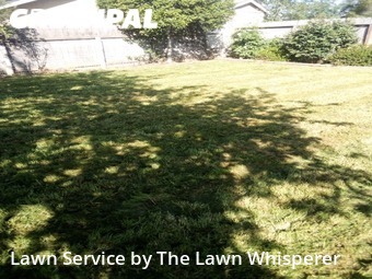 Lawn Mowing Service nearby Elverta, CA, 