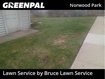 Grass Cutting nearby Chicago, IL, 