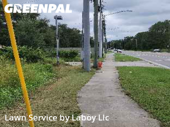 Lawn Cutting nearby Orlando, FL, 