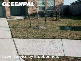 Lawn Service nearby Hutto, TX, 