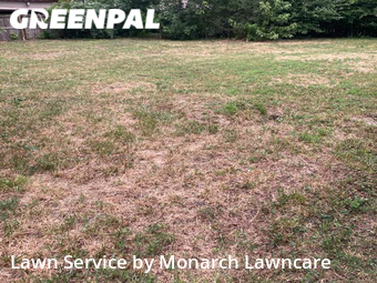 Yard Cutting nearby Indianapolis, IN, 