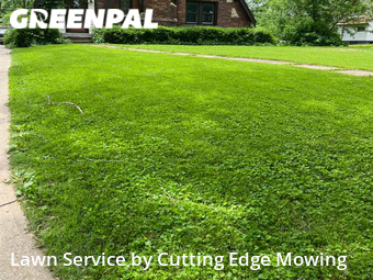 Grass Cut nearby Kansas City, MO, 