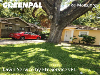 Lawn Maintenance nearby St. Petersburg, FL, 