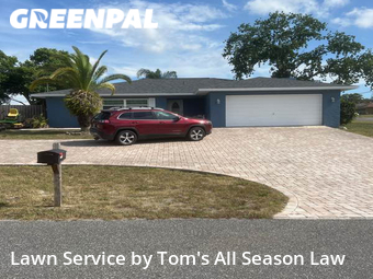 Yard Cutting nearby Spring Hill, FL, 